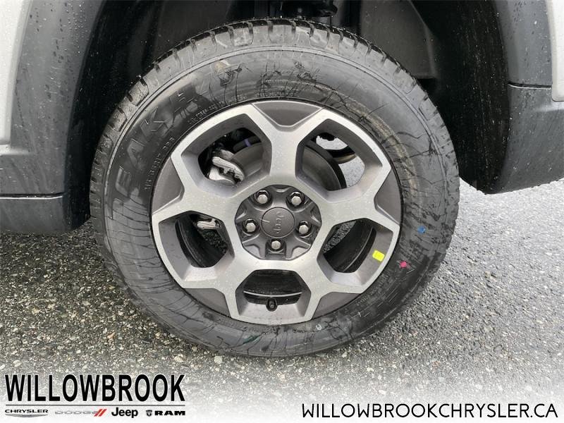 JEEP Compass Trailhawk 3C4NJDDB7NT131801 142012