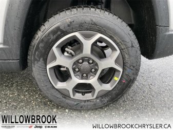 JEEP Compass Trailhawk 3C4NJDDB7NT131801 142012