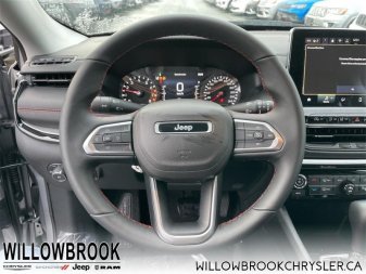 JEEP Compass Trailhawk 3C4NJDDB7NT131801 142013