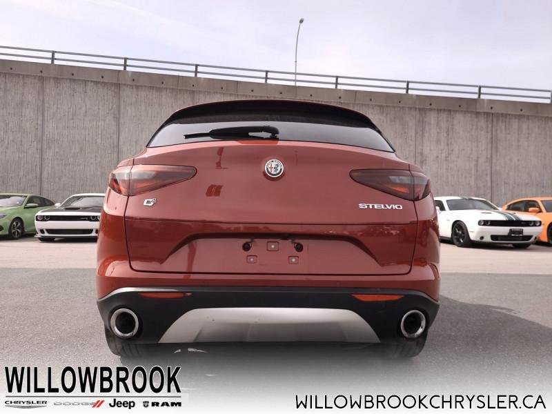 ALFA ROMEO Stelvio  ZASFAKNN1J7C01445 146220