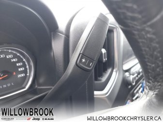 CHEVROLET Silverado 1500  1GCPYFED4LZ198393 149820