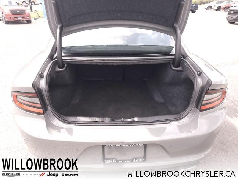 DODGE Charger SXT 2C3CDXBG8KH513942 150243